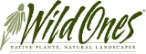 Wild Ones webmaster